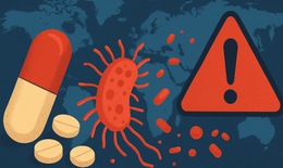 WHO cảnh b&#225;o: Kh&#225;ng kh&#225;ng sinh đạt mức ‘cực kỳ cao’ tr&#234;n to&#224;n cầu, nhiều phương ph&#225;p điều trị th&#244;ng thường đứng trước nguy cơ mất t&#225;c dụng