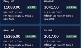 Giá kim loại tiếp tục leo cao