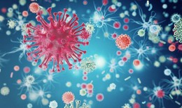 C&#243; đến gần 75% ca nhập viện do RSV xảy ra ở trẻ sinh đủ th&#225;ng, khỏe mạnh