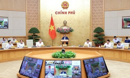 Thủ tướng phân công nhiệm vụ của các Phó Thủ tướng