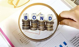 TNI Nam Quang vừa bán 1.000 tỷ đồng trái phiếu