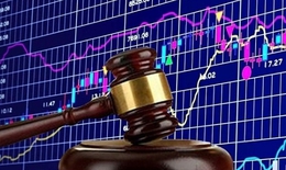 C&#244;ng ty Cổ phần An Thịnh vi phạm lĩnh vực chứng kho&#225;n