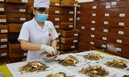 Ph&#225;t huy y học cổ truyền để n&#226;ng tầm c&#244;ng nghiệp dược Việt Nam