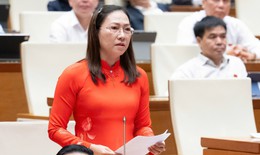 ĐBQH: &quot;Bắt c&#243;c online&quot; l&#224; thực trạng đ&#225;ng b&#225;o động của thời đại số