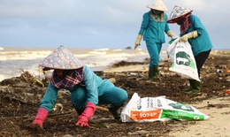 Bãi biển Nhật Lệ ngập rác sau mưa bão