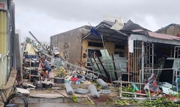 Video hướng dẫn ứng phó với lốc xoáy trước khi bão Matmo đổ bộ