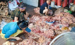 Ph&#225;t hiện cơ sở chế biến mỡ lợn dưới nền nh&#224;, nước đen ng&#242;m