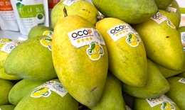 Giải ph&#225;p hỗ trợ ph&#225;t triển sản phẩm OCOP gắn với sức khỏe con người