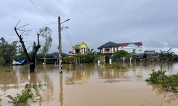 Hơn 28.000 học sinh Quảng Trị phải nghỉ học do mưa lũ, sạt lở
