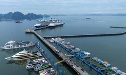 Bão số 11: Quảng Ninh tạm ngừng cấp phép tàu trên vùng biển từ 8h ngày 5/10