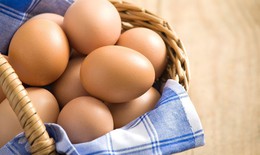 Cảnh gi&#225;c với trứng nhiễm khuẩn Salmonella để bảo vệ sức khỏe