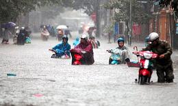 Mưa bão chủ động phòng viêm gan A