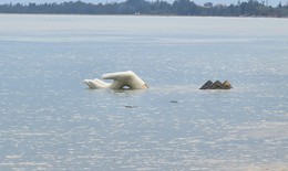 Tượng b&#224;n tay ‘chới với’, biển Hải Tiến tan hoang