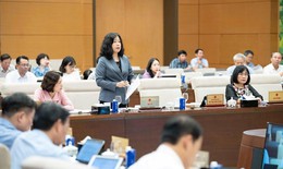 Bộ trưởng Đ&#224;o Hồng Lan tr&#236;nh UBTVQH 4 ch&#237;nh s&#225;ch mới của dự &#225;n Luật D&#226;n số