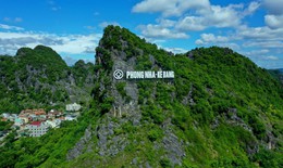 Chuyện về lo&#224;i c&#226;y qu&#253; hiếm bậc nhất Việt Nam