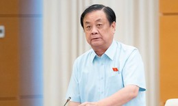 Phó Chủ tịch Quốc hội lo ngại về 'sang chấn tinh thần sau thiên tai'