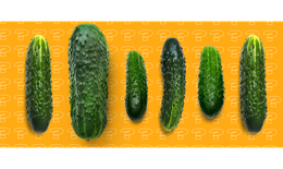 Bật mí ‘chuyện yêu’: Kích thước có phải là yếu tố quyết định sự thỏa mãn?