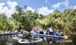 Về U Minh Hạ nghe &#39;rừng h&#225;t&#39;, ngắm bạt ng&#224;n tr&#224;m xanh