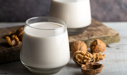 Hạt &#243;c ch&#243;: thực phẩm gi&#250;p hỗ trợ n&#227;o khỏe – tim mạnh – ti&#234;u h&#243;a tốt