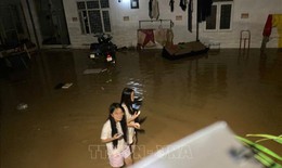 T&#236;nh người trong đ&#234;m nơi t&#226;m lũ