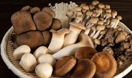 3 loại rau cần tr&#225;nh ở người tăng axit uric trong m&#249;a mưa