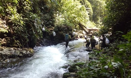 Dấu ch&#226;n &#39;th&#233;p&#39; của những chiến sĩ bảo vệ rừng P&#249; M&#225;t giữa đại ng&#224;n