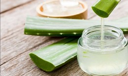 Loại da n&#224;o d&#249;ng gel l&#244; hội l&#224; tốt nhất?