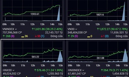 Xu hướng chứng kho&#225;n 13/11, tr&#225;nh mua đuổi