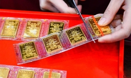 Gi&#225; v&#224;ng h&#244;m nay ng&#224;y 12/11 quay đầu giảm mạnh