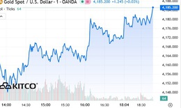 Gi&#225; v&#224;ng thế giới kh&#244;ng giảm khi Ch&#237;nh phủ Mỹ mở cửa trở lại