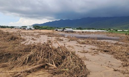 Khởi tố vụ &#225;n vỡ hồ chứa nước g&#226;y chết người ở L&#226;m Đồng