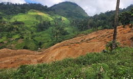 Kinh ho&#224;ng sạt lở n&#250;i, đất đ&#225; tr&#250;t &#224;o &#224;o &#39;như th&#225;c&#39; ở v&#249;ng cao Đ&#224; Nẵng