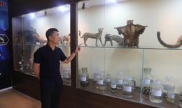 B&#234;n trong bảo t&#224;ng lưu giữ nguồn gen qu&#253; hiếm của Khu bảo tồn thi&#234;n nhi&#234;n P&#249; Huống