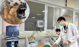 Thanh ni&#234;n tử vong sau 6 th&#225;ng bị ch&#243; cắn kh&#244;ng ti&#234;m ph&#242;ng dại