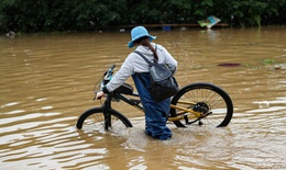Khẩn cấp ứng ph&#243; với đợt mưa lớn ở miền Trung, c&#225;c địa phương c&#243; thể chủ động cho học sinh nghỉ học