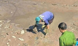 Hải Ph&#242;ng: Bộ xương người dưới lớp b&#249;n ao đ&#227; ph&#226;n hủy 10 năm