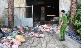 Phát hiện công nhân đang chế biến mỡ động vật trong khu nghĩa trang