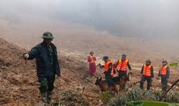 Đội mưa, lội b&#249;n t&#236;m 3 người mất t&#237;ch trong vụ sạt lở kinh ho&#224;ng ở v&#249;ng cao Đ&#224; Nẵng