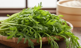 Đừng bỏ qua những t&#225;c dụng bất ngờ của rau cải c&#250;c với sức khỏe