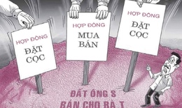 Điều g&#236; ẩn sau hợp đồng đặt cọc khiến nhiều người mất tiền oan?