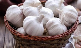 7 biện ph&#225;p tự nhi&#234;n gi&#250;p giảm nhẹ triệu chứng c&#250;m A