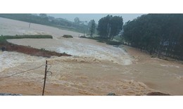 Lũ tr&#234;n nhiều s&#244;ng ở Huế v&#224; Quảng Ng&#227;i l&#234;n rất nhanh, cảnh b&#225;o người d&#226;n đảm bảo an to&#224;n
