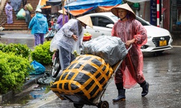 Bộ N&#244;ng nghiệp v&#224; M&#244;i trường y&#234;u cầu ứng ph&#243; khẩn với đợt r&#233;t hại