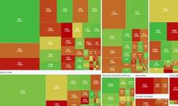 Xu hướng chứng khoán 19/11, tăng mua cổ phiếu