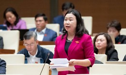 ĐBQH đề xuất miễn giảm thuế, l&#227;i vay cho người mua nh&#224; đầu ti&#234;n