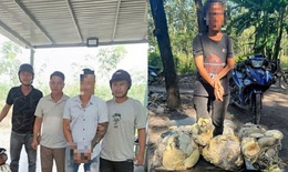 C&#244;ng an Đồng Nai li&#234;n tiếp t&#243;m gọn đối tượng trong 2 vụ trộm mủ cao su chỉ chưa đầy một tuần