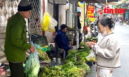 Gi&#225; rau xanh ở H&#224; Nội tăng &#39;ch&#243;ng mặt&#39;