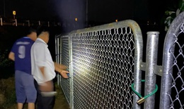 Bò đi vào cao tốc, chủ đầu tư cảnh báo và yêu cầu xử lý việc tự ý phá hàng rào