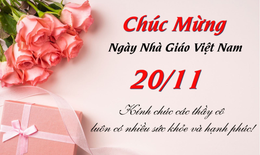 Những lời ch&#250;c ng&#224;y Nh&#224; gi&#225;o Việt Nam 20/11 hay v&#224; &#253; nghĩa nhất 2025