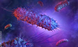 Miếng d&#225;n virus ti&#234;u diệt 99.9% vi khuẩn trong thực phẩm